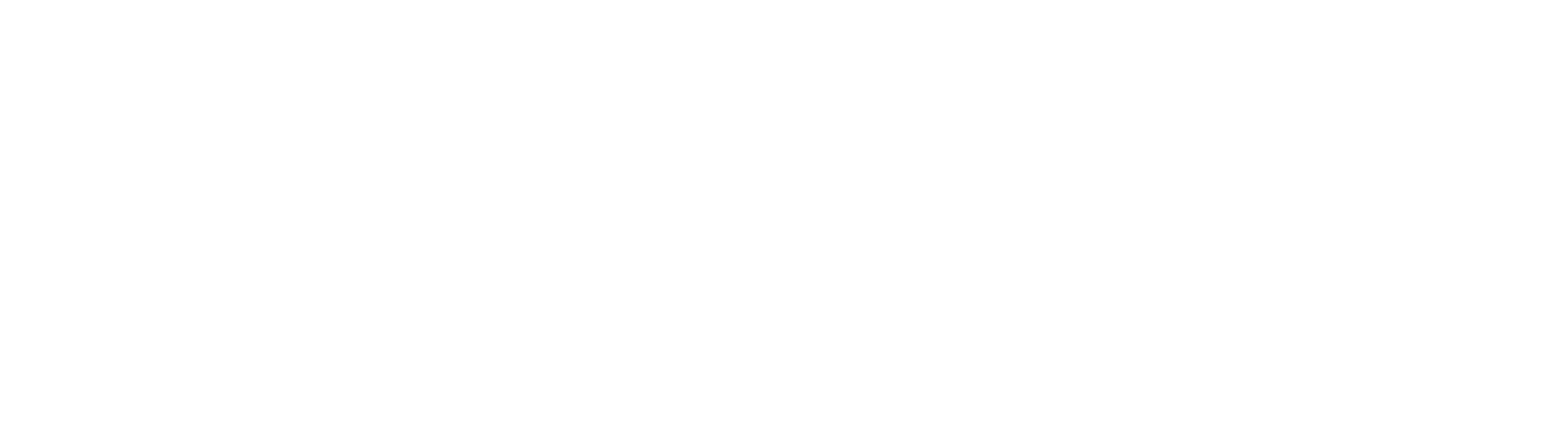 Logo PANS
